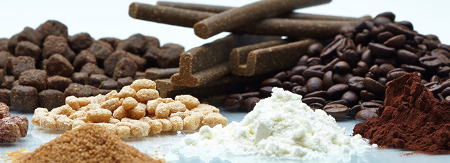 Coperion Food Infocus newsletter