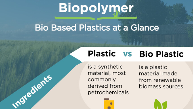 Biopolymers Are Made Of Green Materials That Are Generated By What Are Biodegradable Plastics The Need For A Clarif - vrogue.co