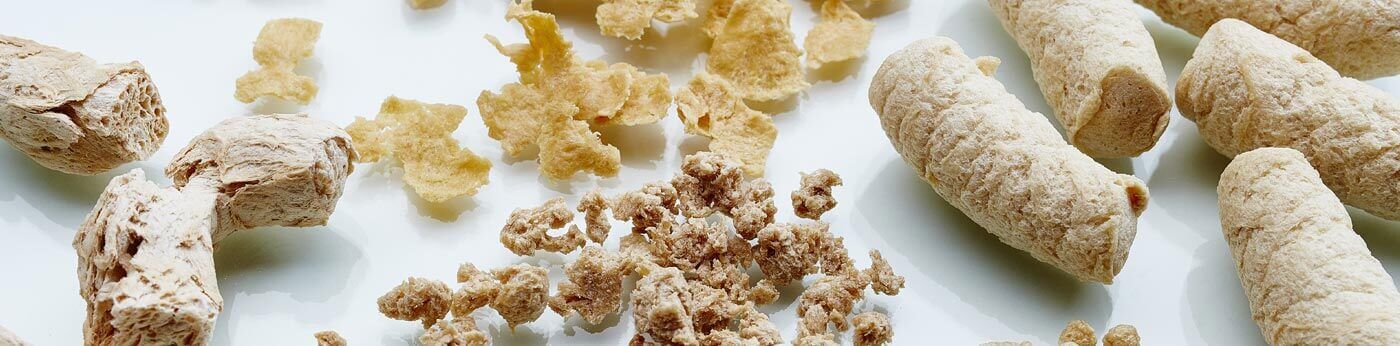 Driessen Food Extrusion erweitert Produktion mit Coperion Food Extruder ...