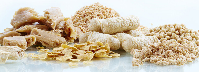 Coperion pflanzenbasierte Lebensmittel